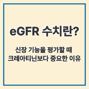 eGFR 수치란?