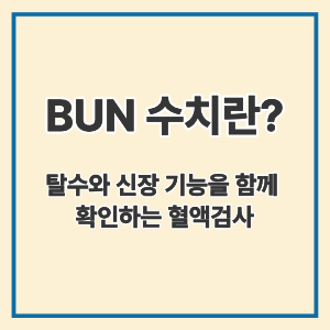 BUN 수치란?