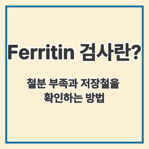 Ferritin 검사란?