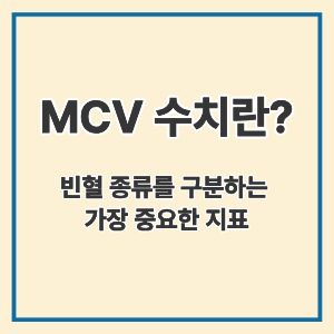 MCV 수치란?