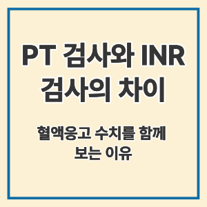 PT 검사와 INR 검사의 차이