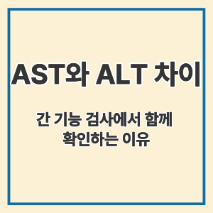 AST와 ALT 차이