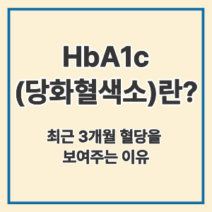 HbA1c(당화혈색소)란?