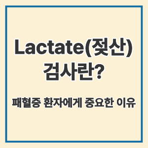 Lactate(젖산) 검사란?