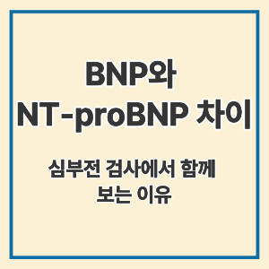 BNP와 NT-proBNP 차이