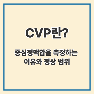 CVP란?